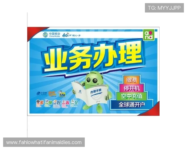 PA视讯手机长效续航，保障全天候高清视讯不中断