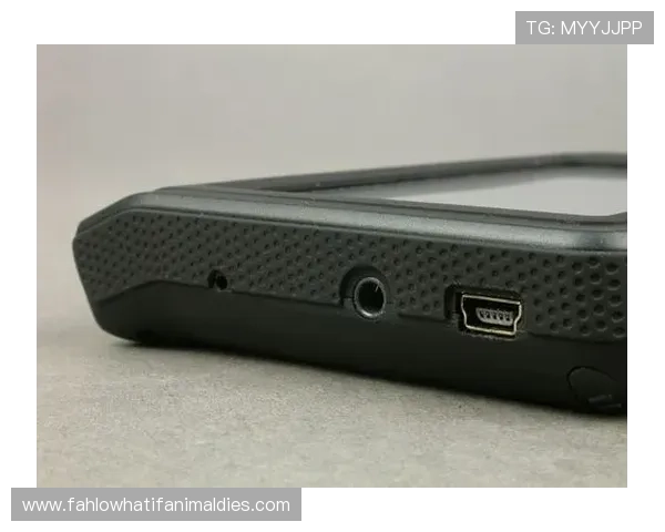 亚太ag厅会员登录后如何查看账户余额与交易记录