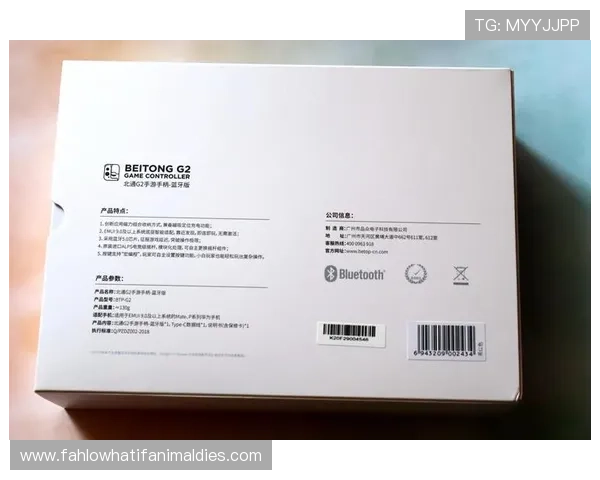 多渠道AG国际娱乐官网入口链接，丰富选择确保用户随时随地畅玩体验