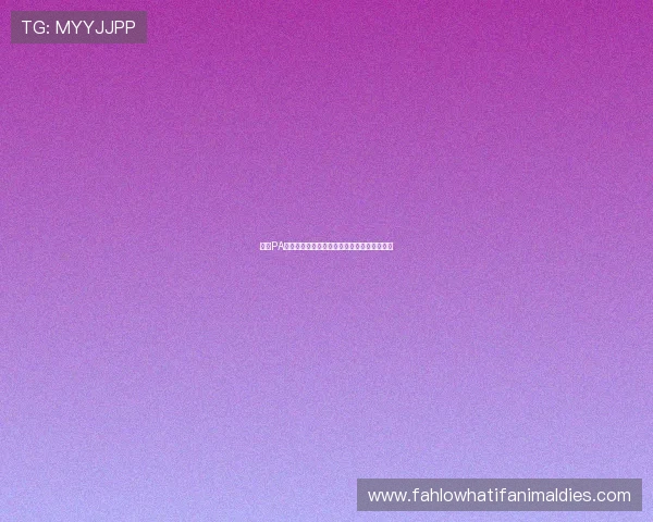 掌握PA真人视讯的玩法技巧提升你的赢率与娱乐体验