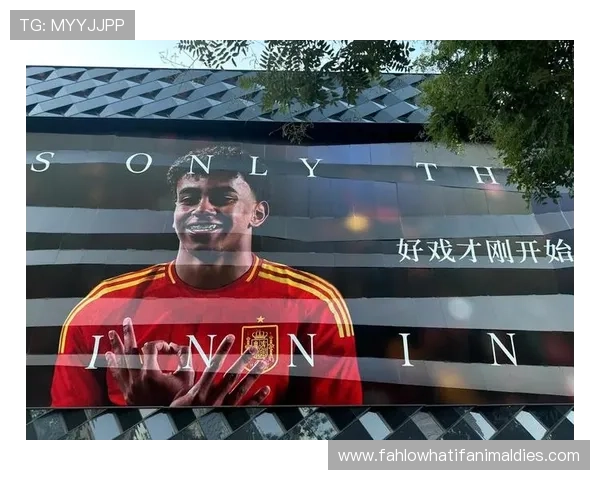 最新推出的AG国际足球官网手机客户端功能介绍，随时随地掌握足球精彩瞬间