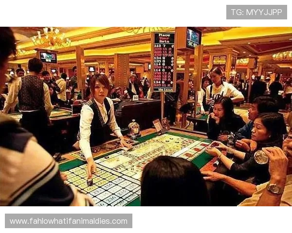 澳门棋牌地址平台优惠活动不断，丰富奖励助你轻松赢取更多胜利