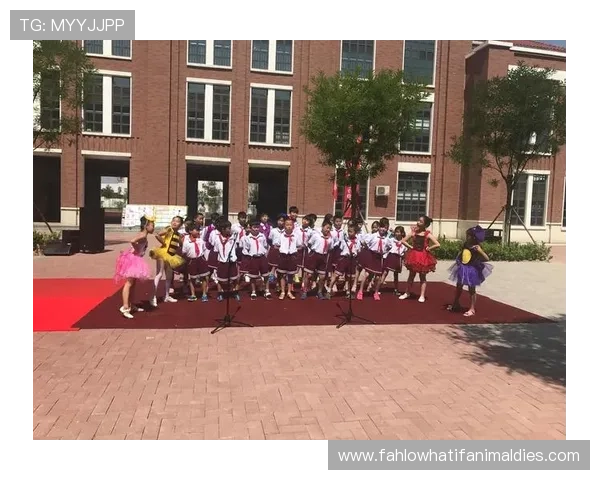 深入探讨亚游ag端对玩家体验的影响与最佳实践