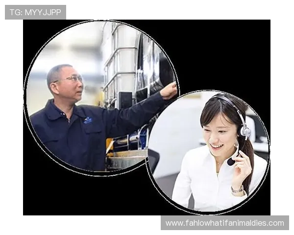 k8凯发是做什么的：详细解析k8凯发在游戏行业中的核心竞争力