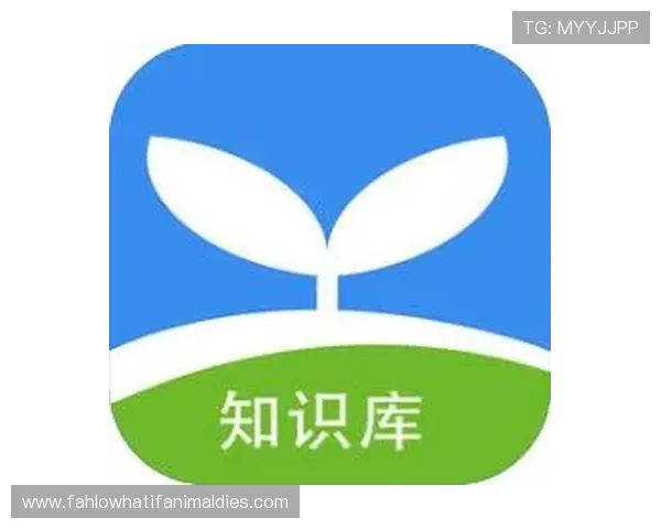 ag手机版官网官方平台安全登录流程详解，保障账号信息安全