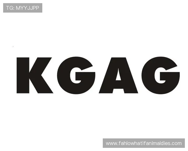 AG国际网站app支持多平台同步登录，打造一站式娱乐体验满足不同用户需求