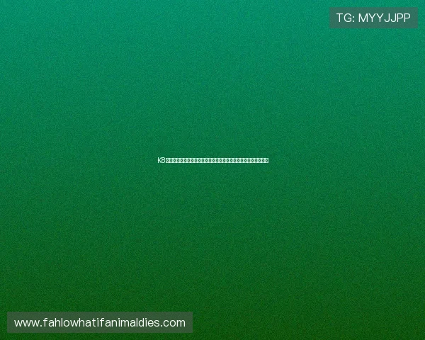 K8真人娱乐用户口碑大揭秘，真实玩家分享平台优势与娱乐体验心得