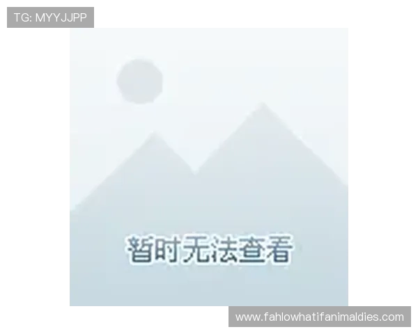 如何顺利进入ag亚网站进入ly平台实现账户安全登录