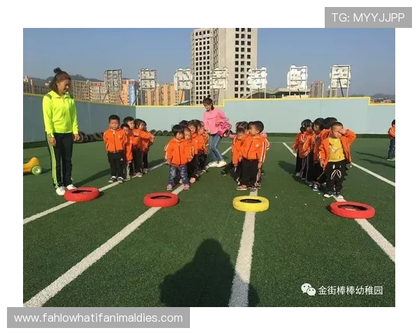 掌握真人国际攻略的核心要点实现游戏中的快速成长