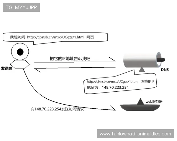 最新版本AG视讯APP官方正版下载，全面优化游戏性能带来极致的视觉享受