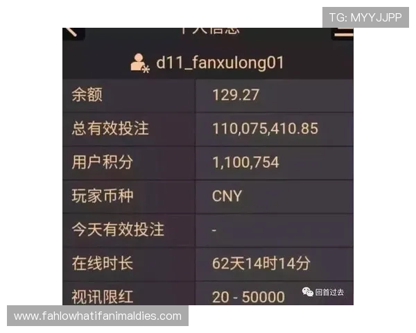 提升AG百家乐代理业务盈利能力的实用策略与行业趋势分析