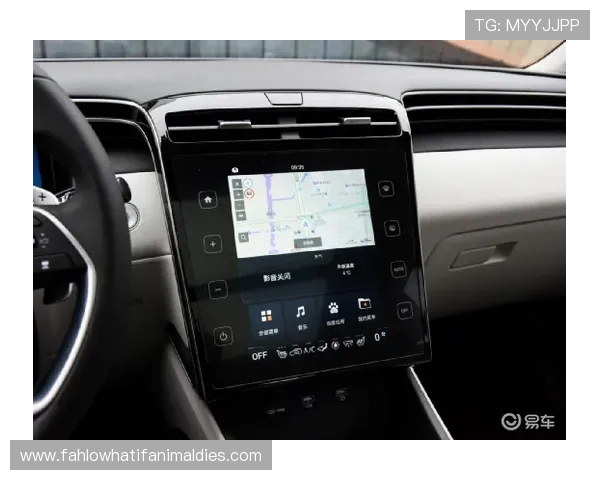 深入探讨AG网娱乐在年轻用户中的流行原因及其带来的娱乐新风尚