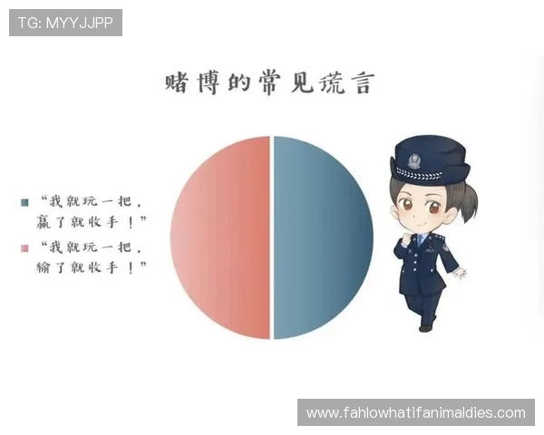 百家乐必赢法则的常见误区与正确应用，助你避免亏损风险