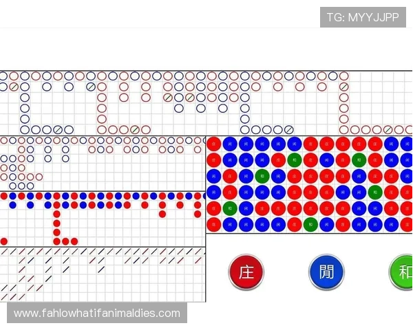 百家乐走势图怎么看的实用技巧，教你轻松识别赢钱的趋势与规律