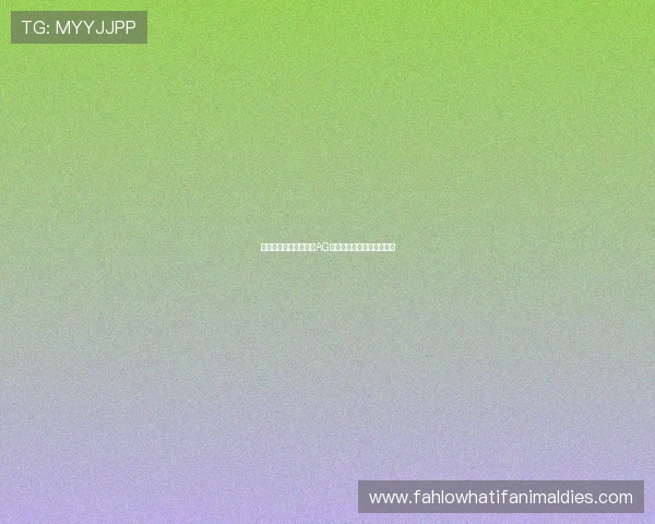 神秘与刺激并存，深入AG视讯竟眯厅的世界探险之旅