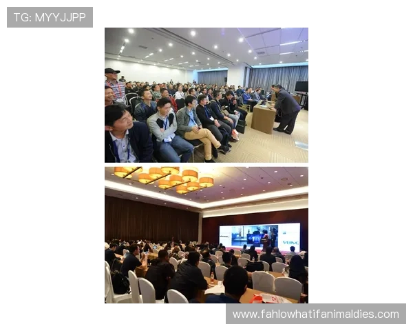 AG寰亚娱乐最新动态全面解析助你掌握行业发展趋势