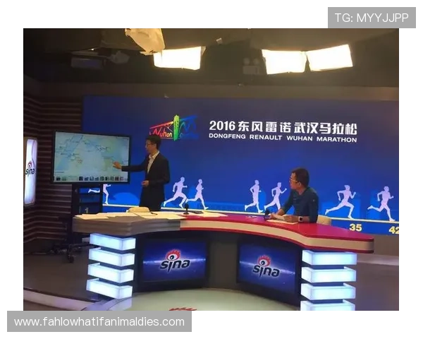 K8体育视讯提供高清赛事直播体验满足用户多样化观看需求