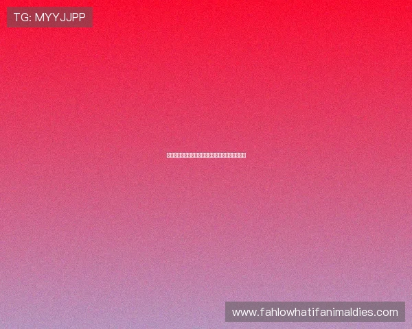 亚星官网真人娱乐安全保障措施与玩家权益保护策略