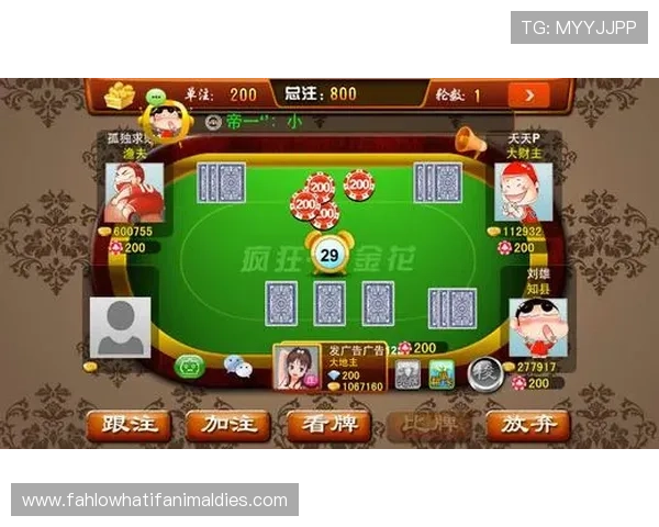 真人版手机炸金花常见问题解答，解决新手玩家的所有疑问